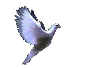 Spirit of Peace